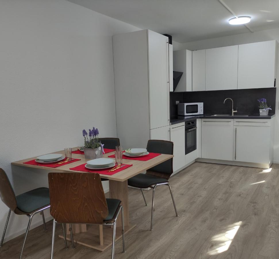 2 Zimmerwohnung In Bietingen Gottmadingen Εξωτερικό φωτογραφία